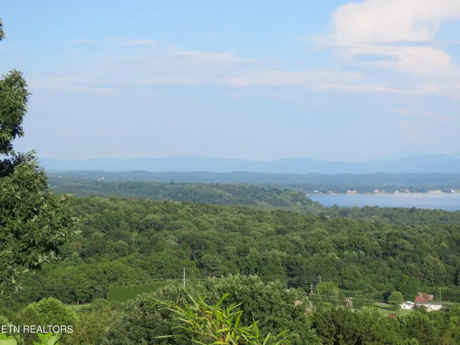 2425 Promise Lane, White Pine, TN 37890 - #3