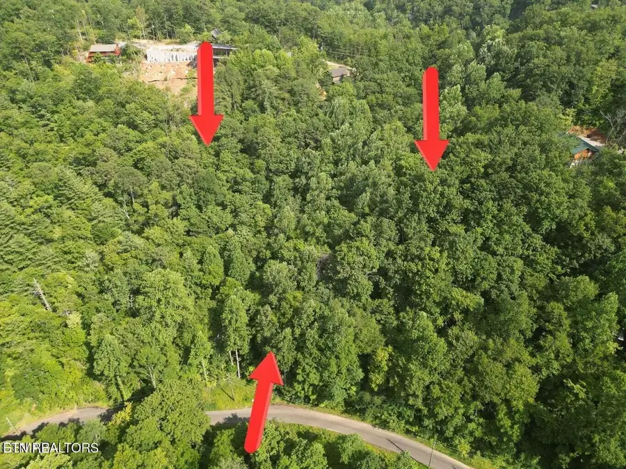 4321 Manis Hollow Rd, Gatlinburg, TN 37738 - #3