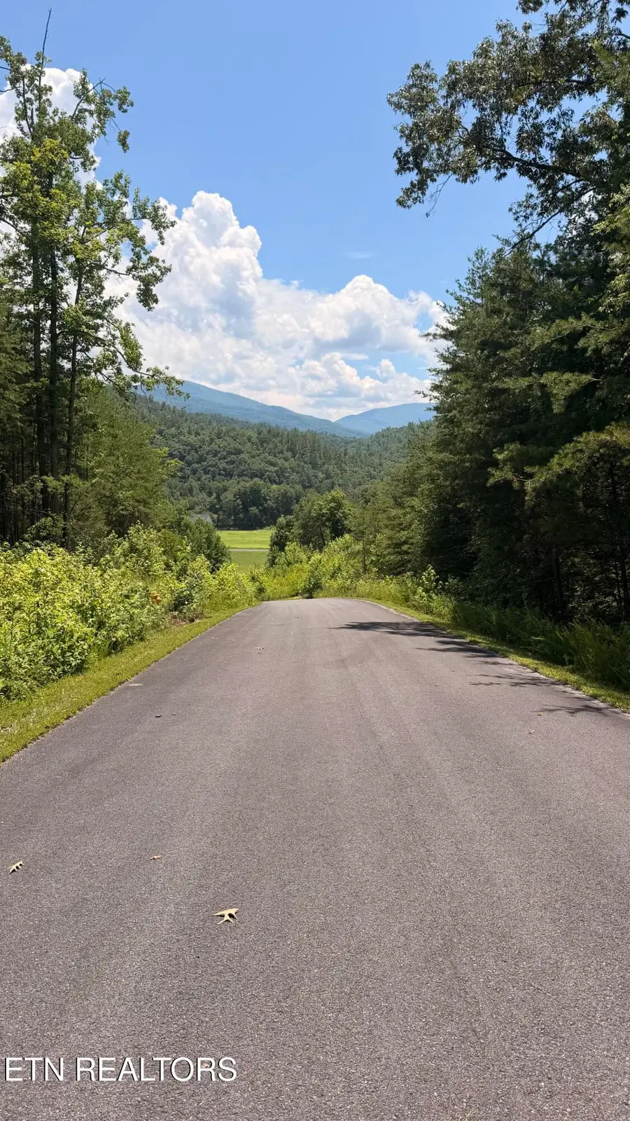 0 Huff Overlook Way, Del Rio, TN 37727 - #3