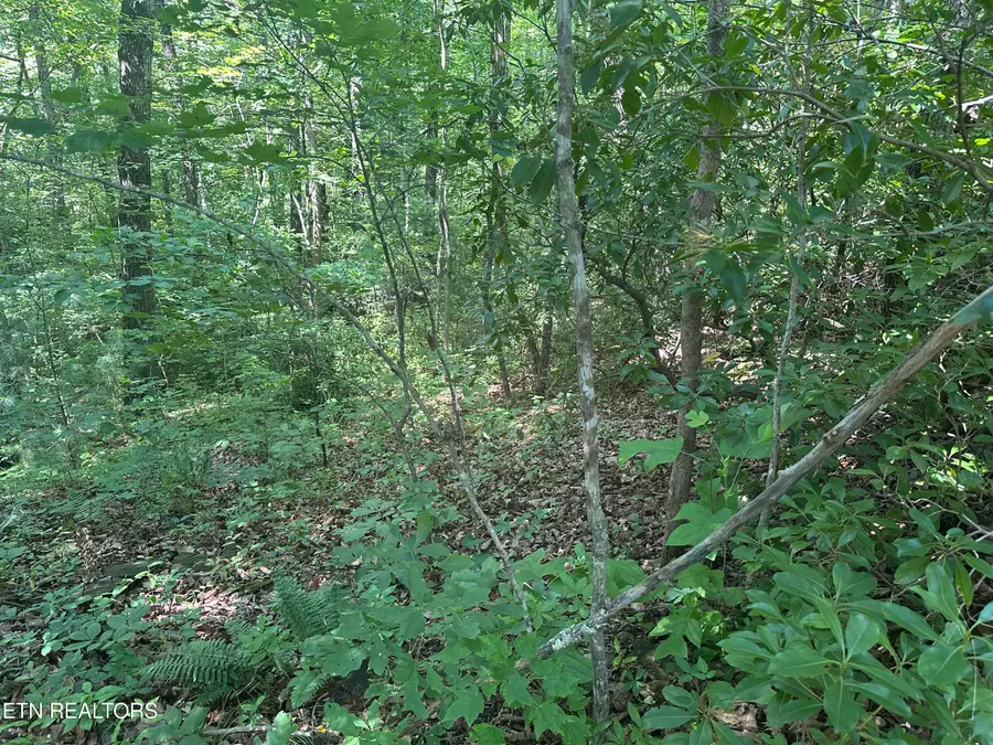 609 Saint George Drive, Crossville, TN 38558 - #3
