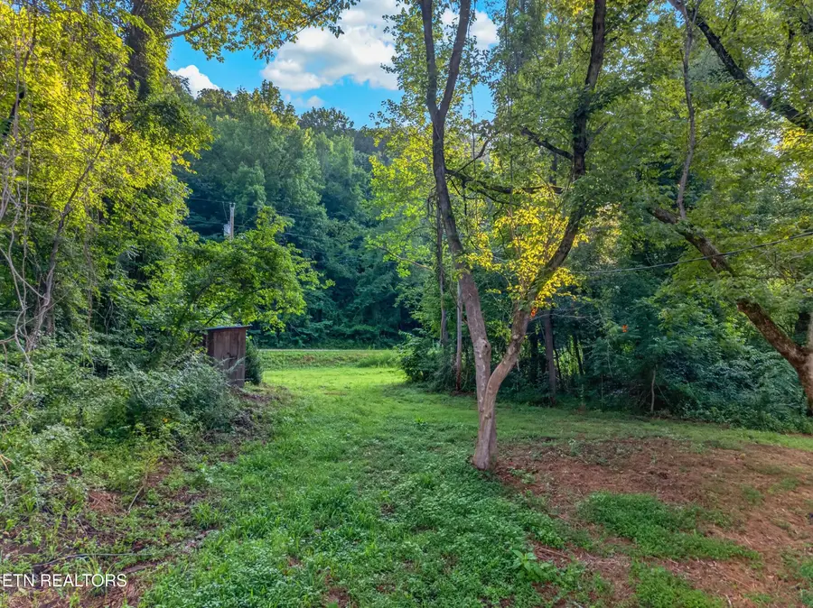 0 E Highway 25-70, Del Rio, TN 37727 - #2