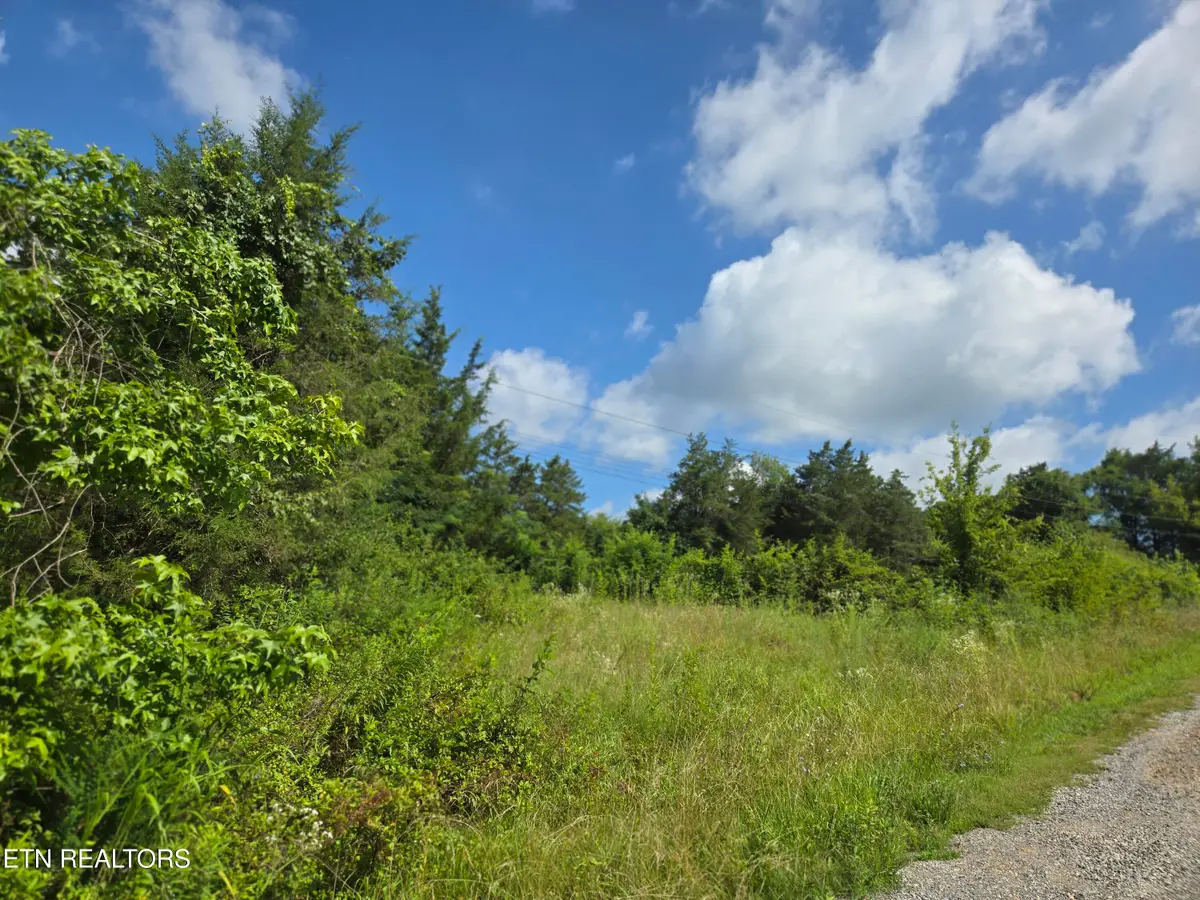 1882 Highway 25-70, New Market, TN 37820 - #1