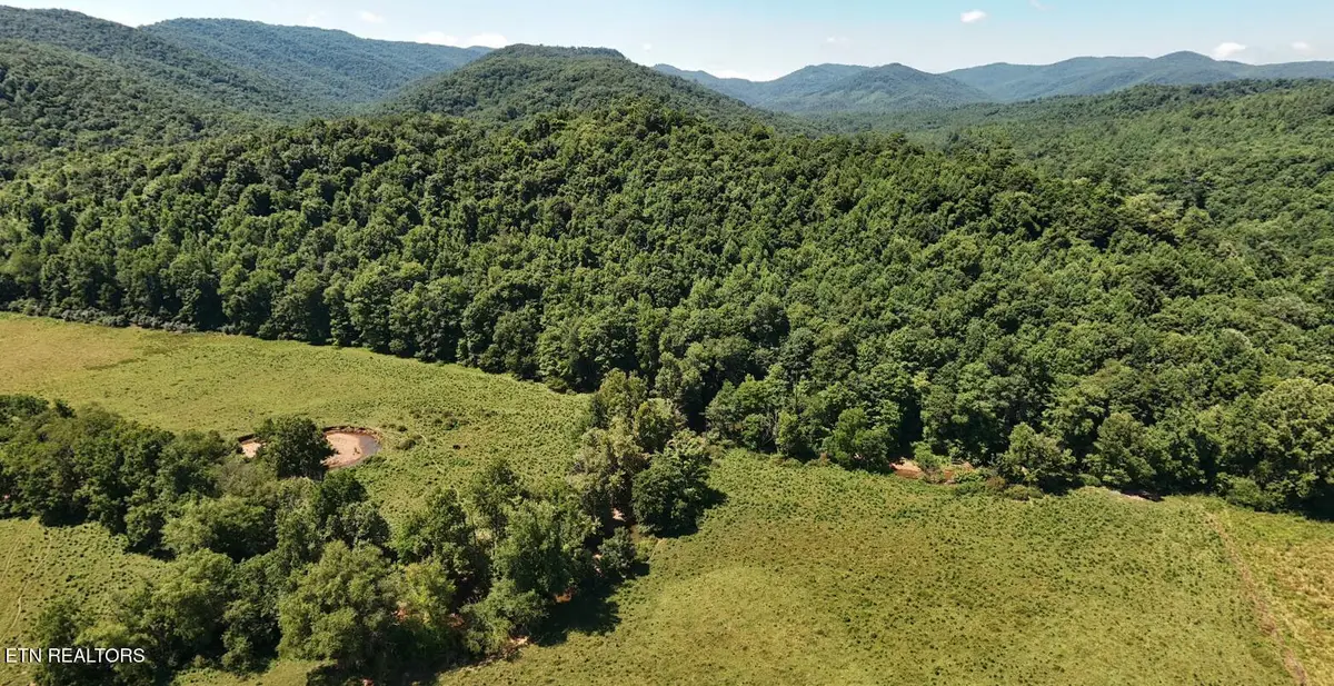 0 Brimstone Rd, Robbins, TN 37852 - #1