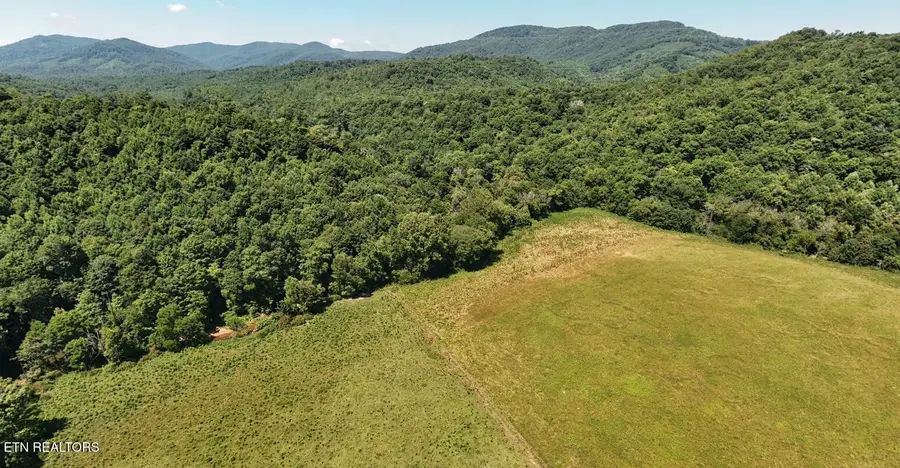 0 Brimstone Rd, Robbins, TN 37852 - #3