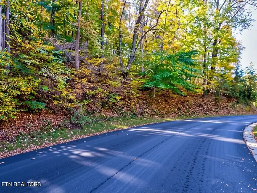 Lot 37 Five Oaks Circle, Whitesburg, TN 37891 - #3