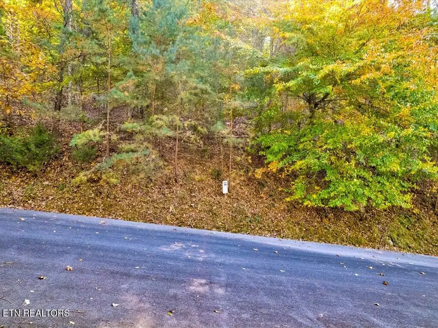 Lot 38 Five Oaks Circle, Whitesburg, TN 37891 - #3