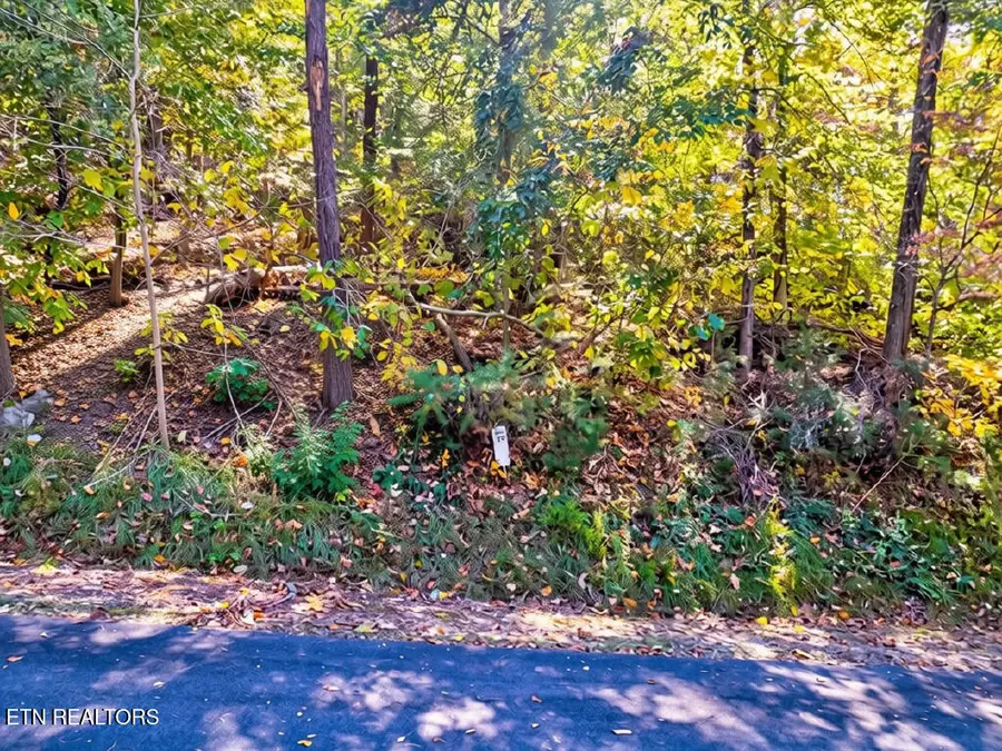 Lot 39 Five Oaks Circle, Whitesburg, TN 37891 - #3