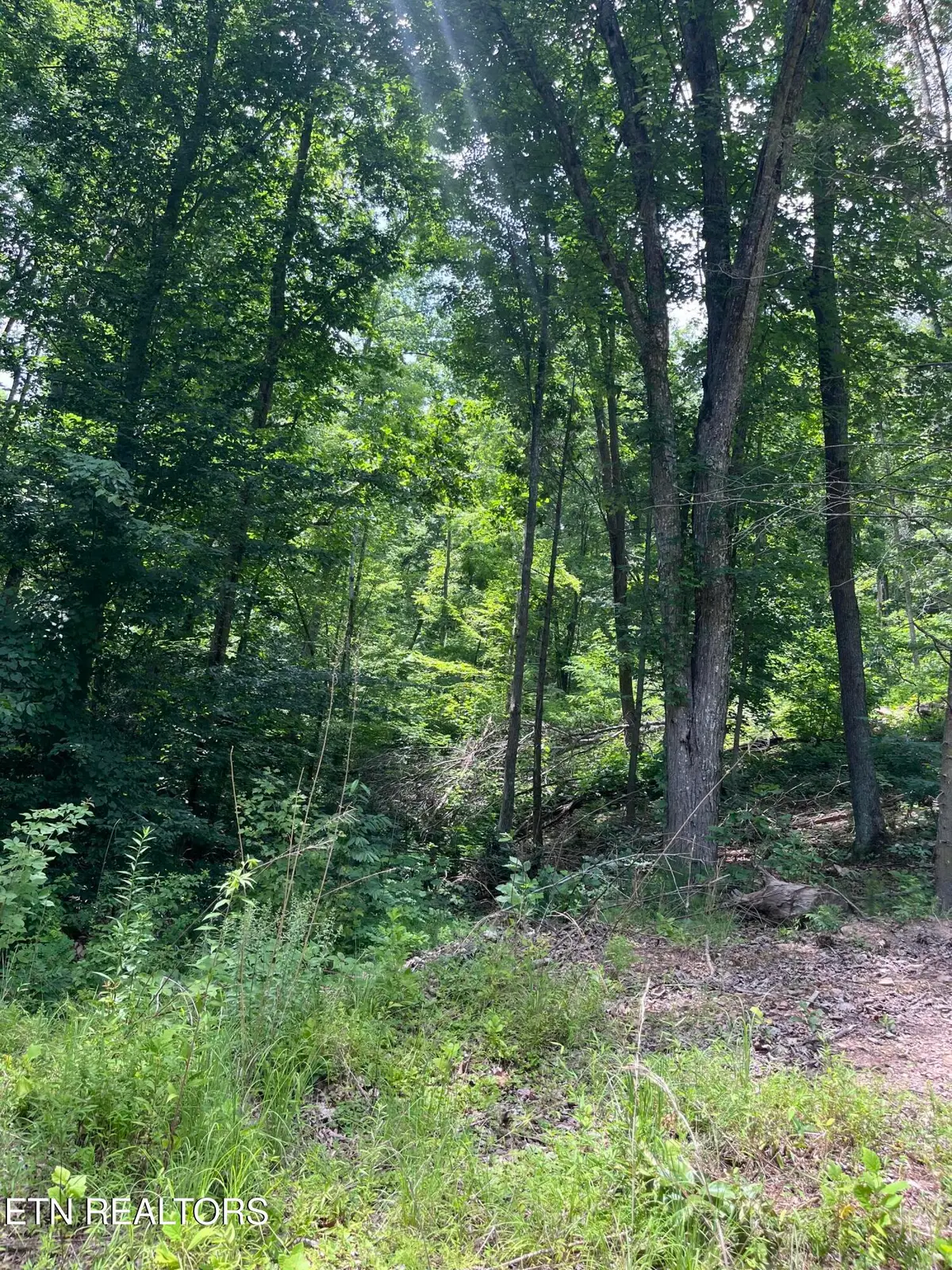 Tower Rd, Tazewell, TN 37879 - #1