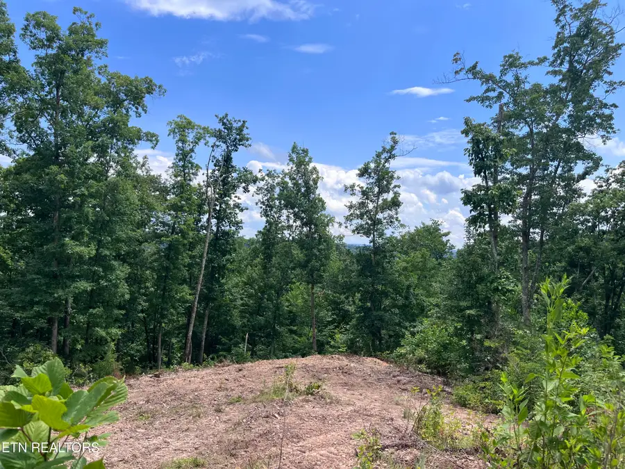 Tower Rd, Tazewell, TN 37879 - #2