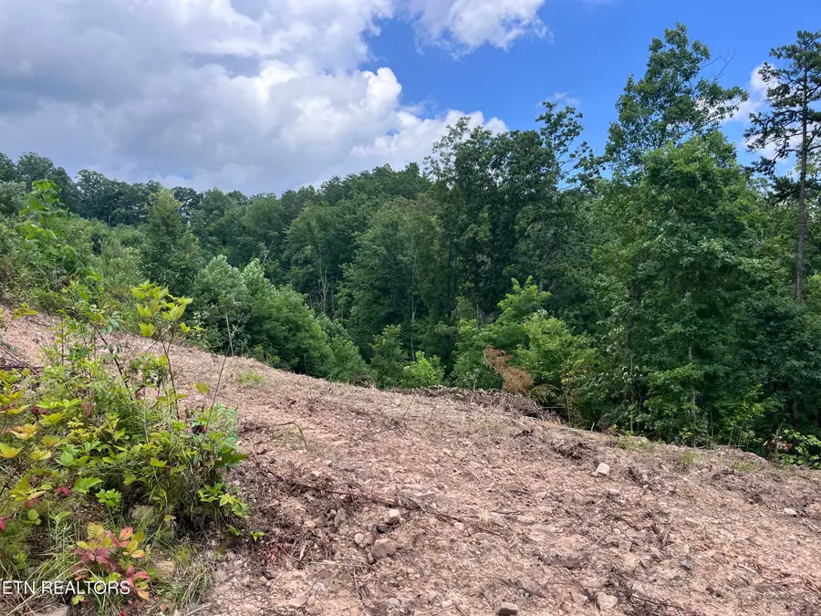 Tower Rd, Tazewell, TN 37879 - #3
