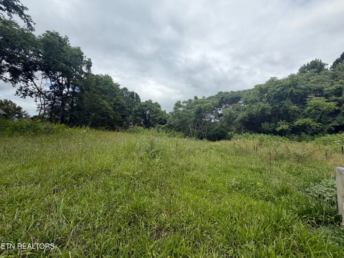 143 Moser Lane, Clinton, TN 37716 - #1