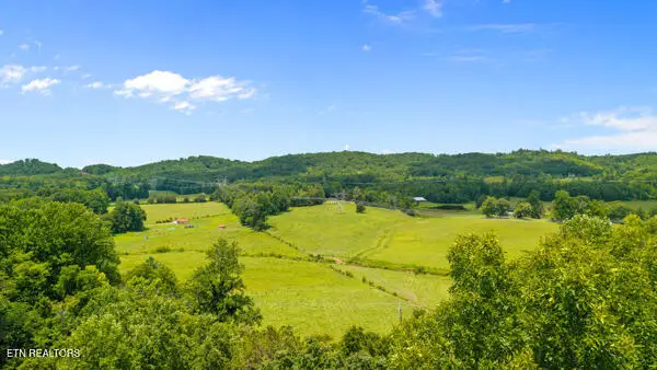 1913 Dry Fork Valley Rd, Philadelphia, TN 37846