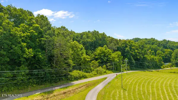 1913 Dry Fork Valley Rd, Philadelphia, TN 37846 - #2
