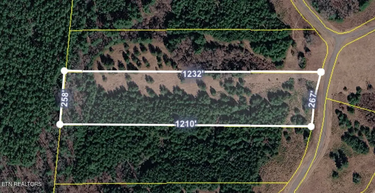 White Creek Drive, Deer Lodge, TN 37726 - #1