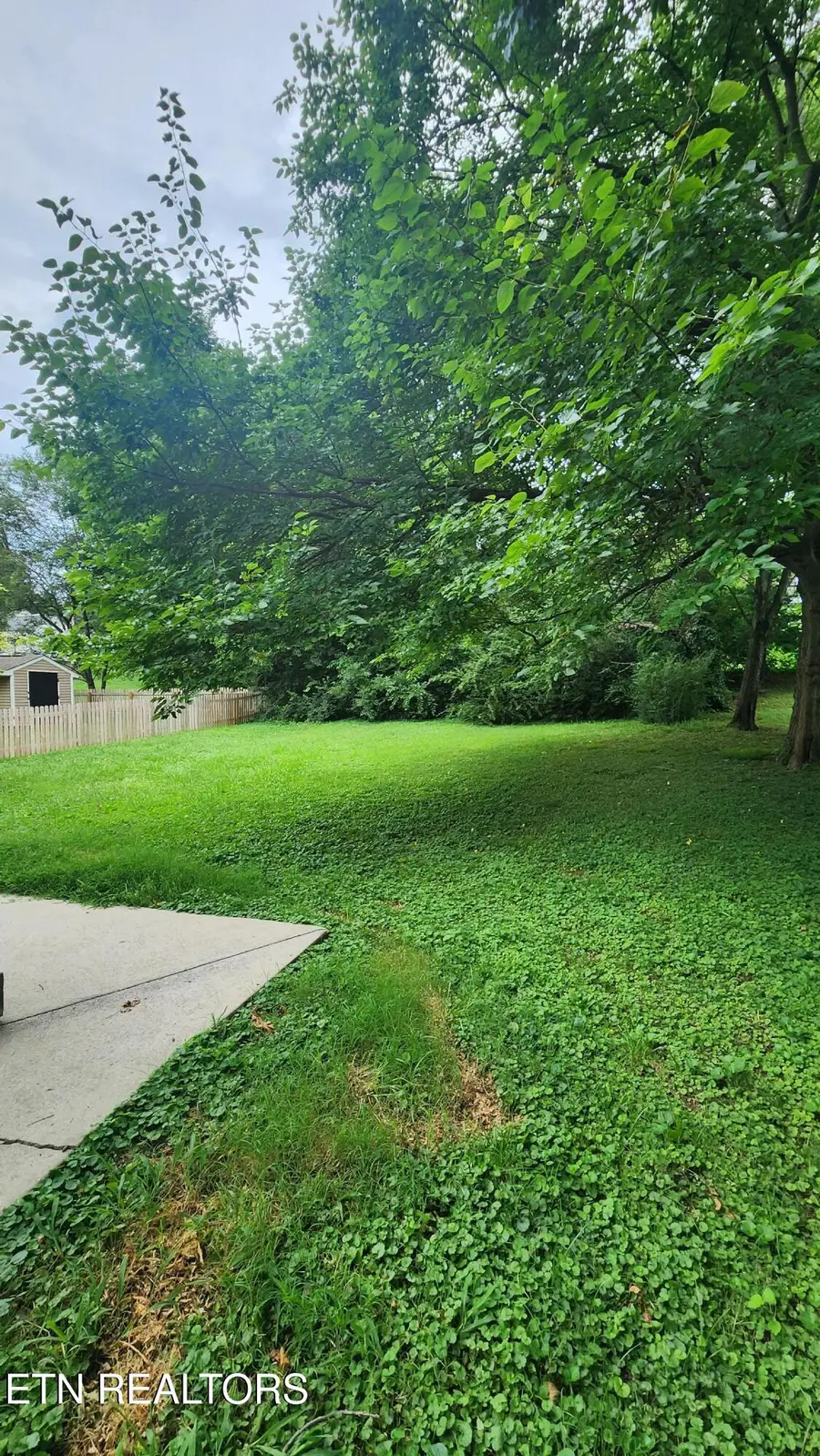 1409 Morningside Ave, Maryville, TN 37804 - #2