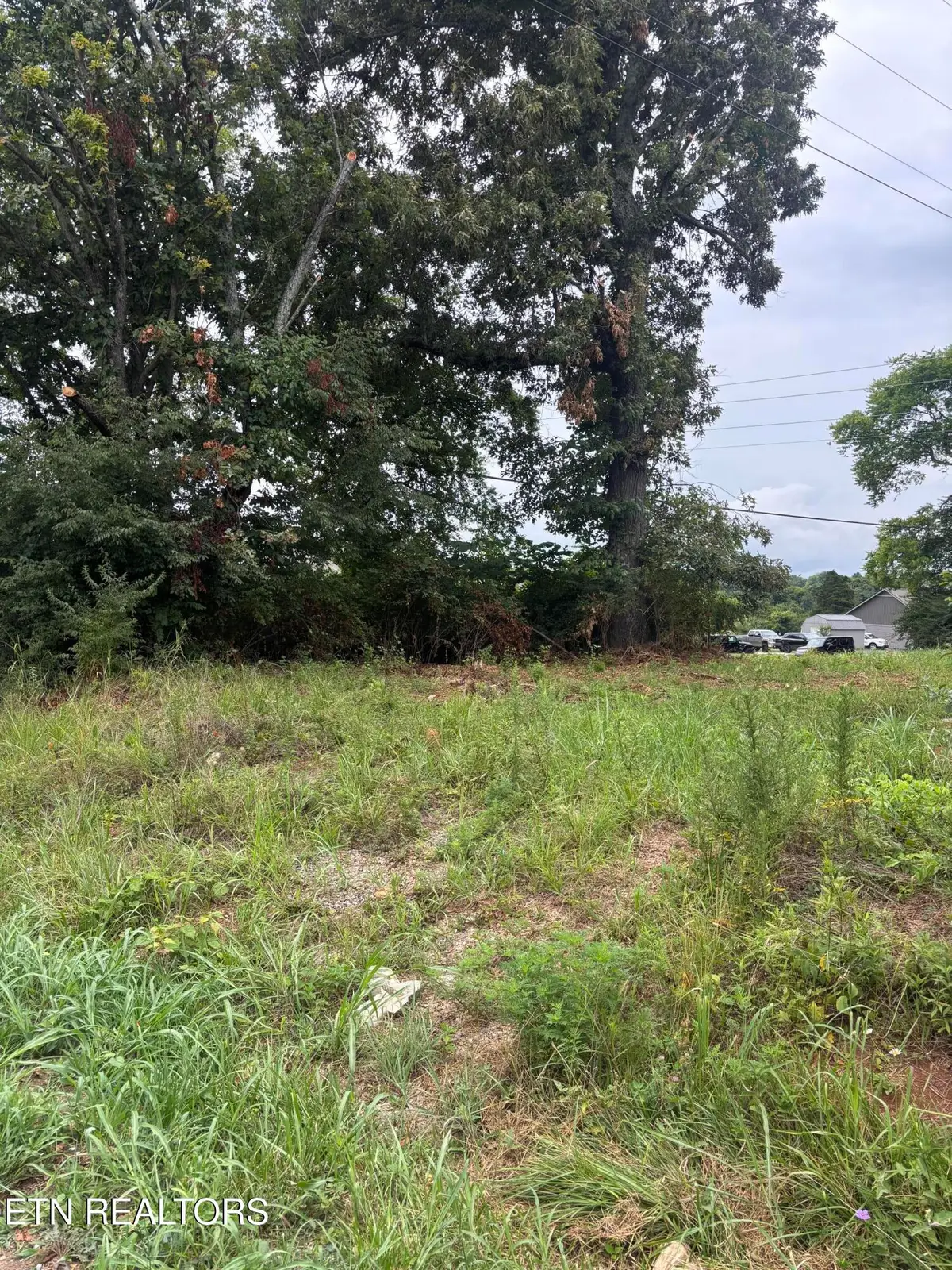 107 Long Powers Rd, Friendsville, TN 37737 - #1