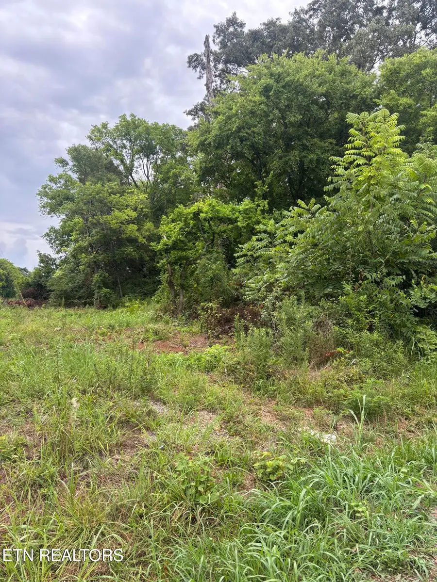 107 Long Powers Rd, Friendsville, TN 37737 - #2