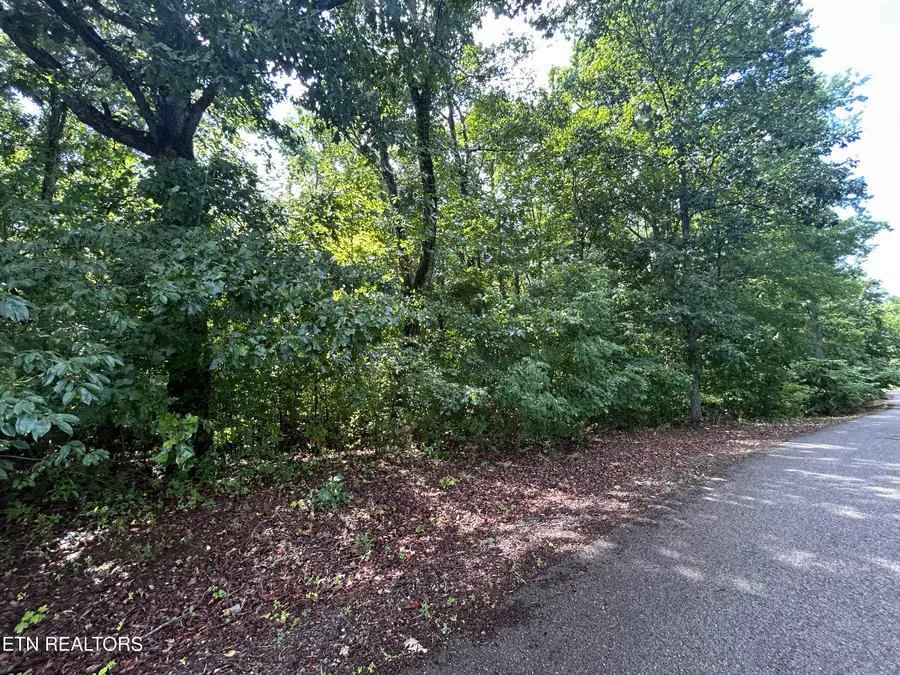 Butterfly Cove Tr #Lot 92, Decatur, TN 37322 - #3