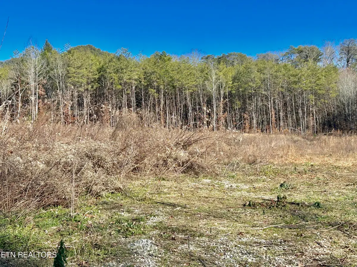 504 Wiggins Rd, Tellico Plains, TN 37385 - #1