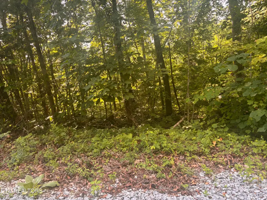 0 Kenny Fox Way, Sevierville, TN 37876 - #3