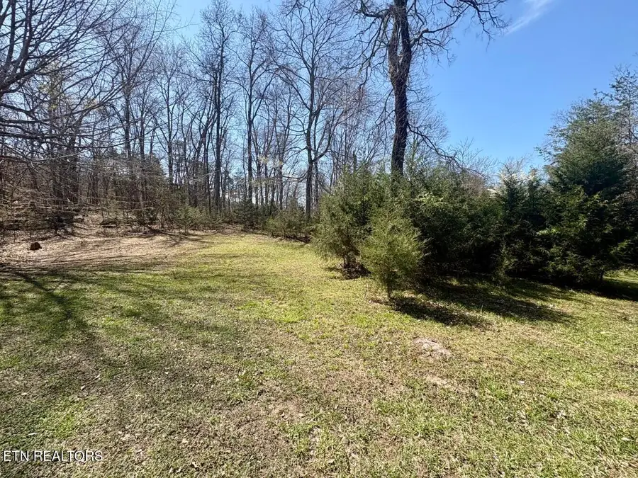 456 Geisler Rd, Piney Flats, TN 37686 - #3