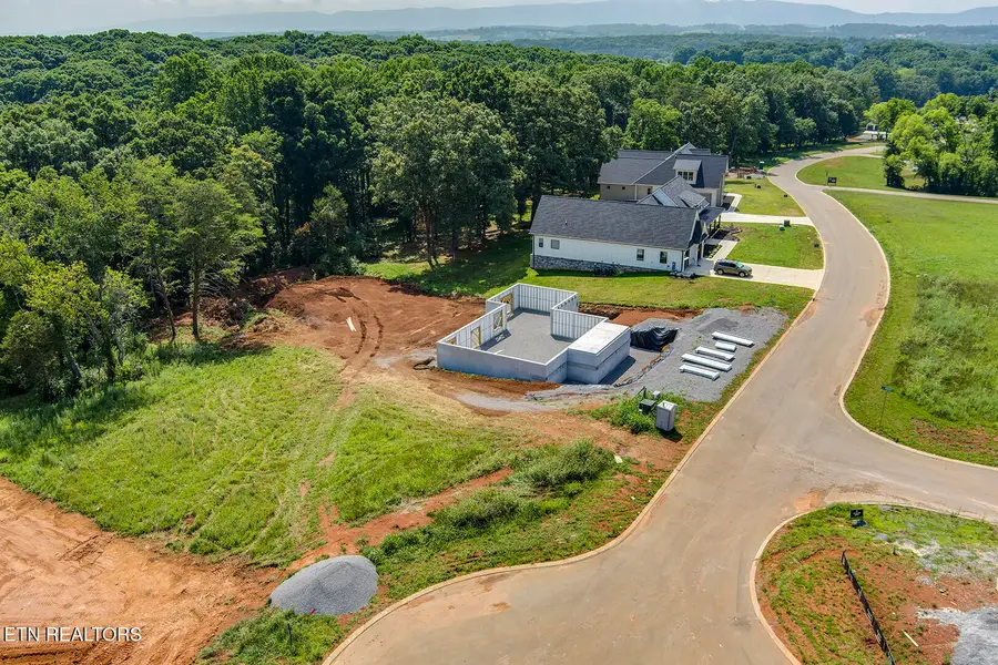 1114 Sophie Drive, Greenback, TN 37742 - #3