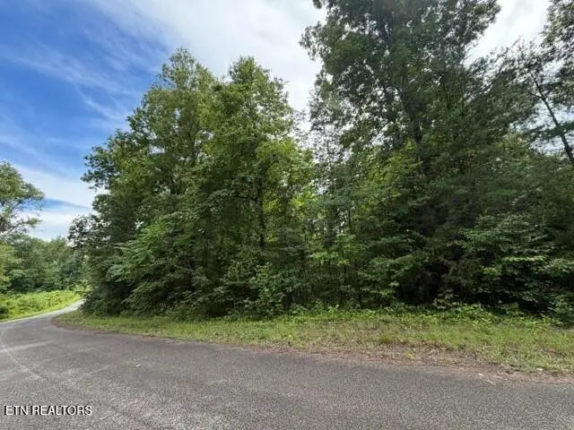 Saddleridge Dr. Drive, Speedwell, TN 37870 - #3
