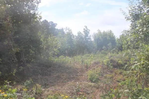 2058 Pickett Park Hwy, Jamestown, TN 38556