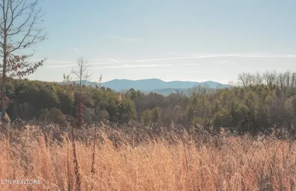 Lot 10 & 11 Curtis Rd, Tellico Plains, TN 37385