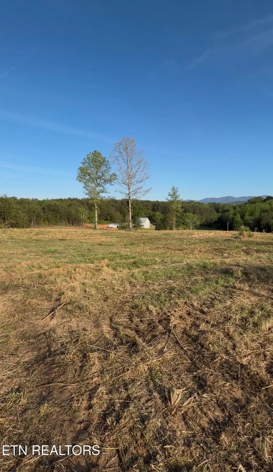 Lot 10 & 11 Curtis Rd, Tellico Plains, TN 37385 - #3
