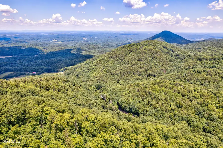 Reagan Springs Rd, Seymour, TN 37865 - #2