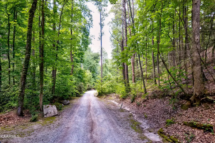 Reagan Springs Rd, Seymour, TN 37865 - #3