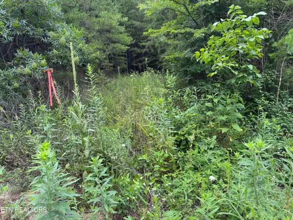 49 Bayside Blvd, Bean Station, TN 37708