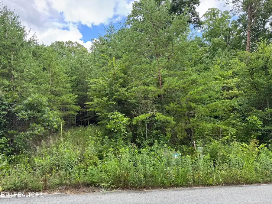 49 Bayside Blvd, Bean Station, TN 37708 - #2