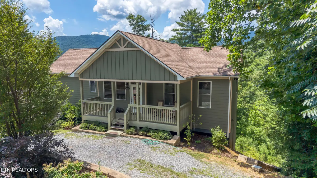 228 Ace Gap Rd, Townsend, TN 37882 - #1