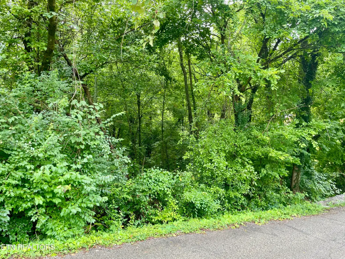 5119 Odell Rd, Knoxville, TN 37920 - #1