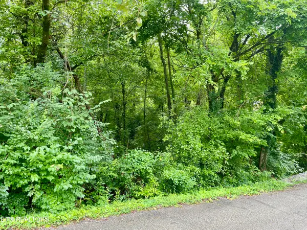 5119 Odell Rd, Knoxville, TN 37920