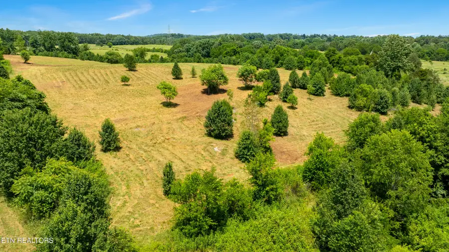 Thorngrove Pike, Kodak, TN 37764 - #2