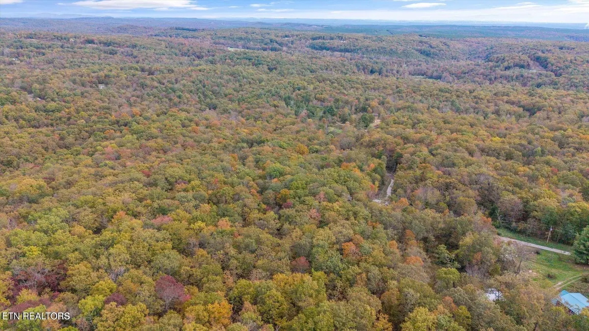 Raeanne Drive, Spring City, TN 37381 - #1