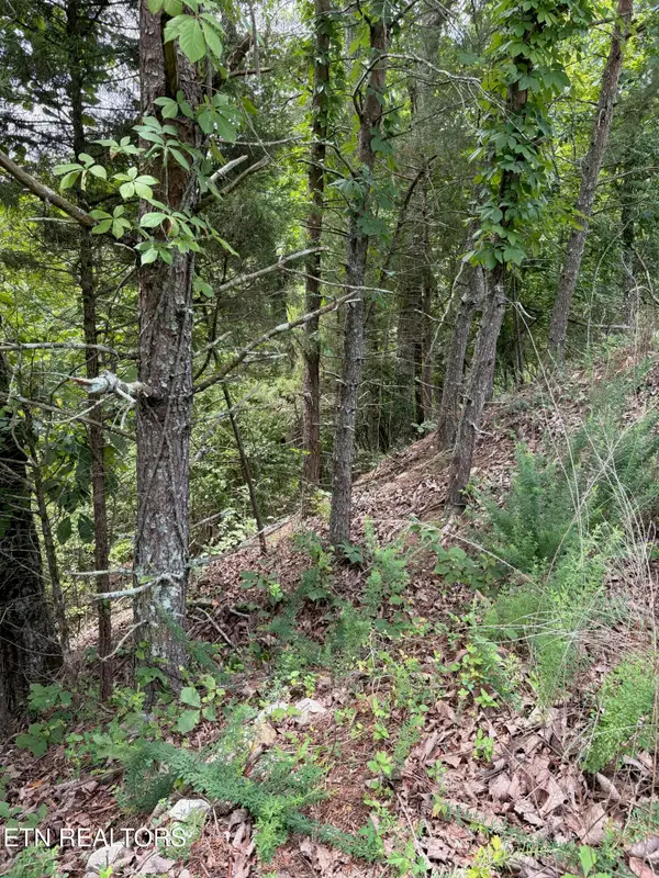 Flint Ridge Road, Lot 417, Rockwood, TN 37854