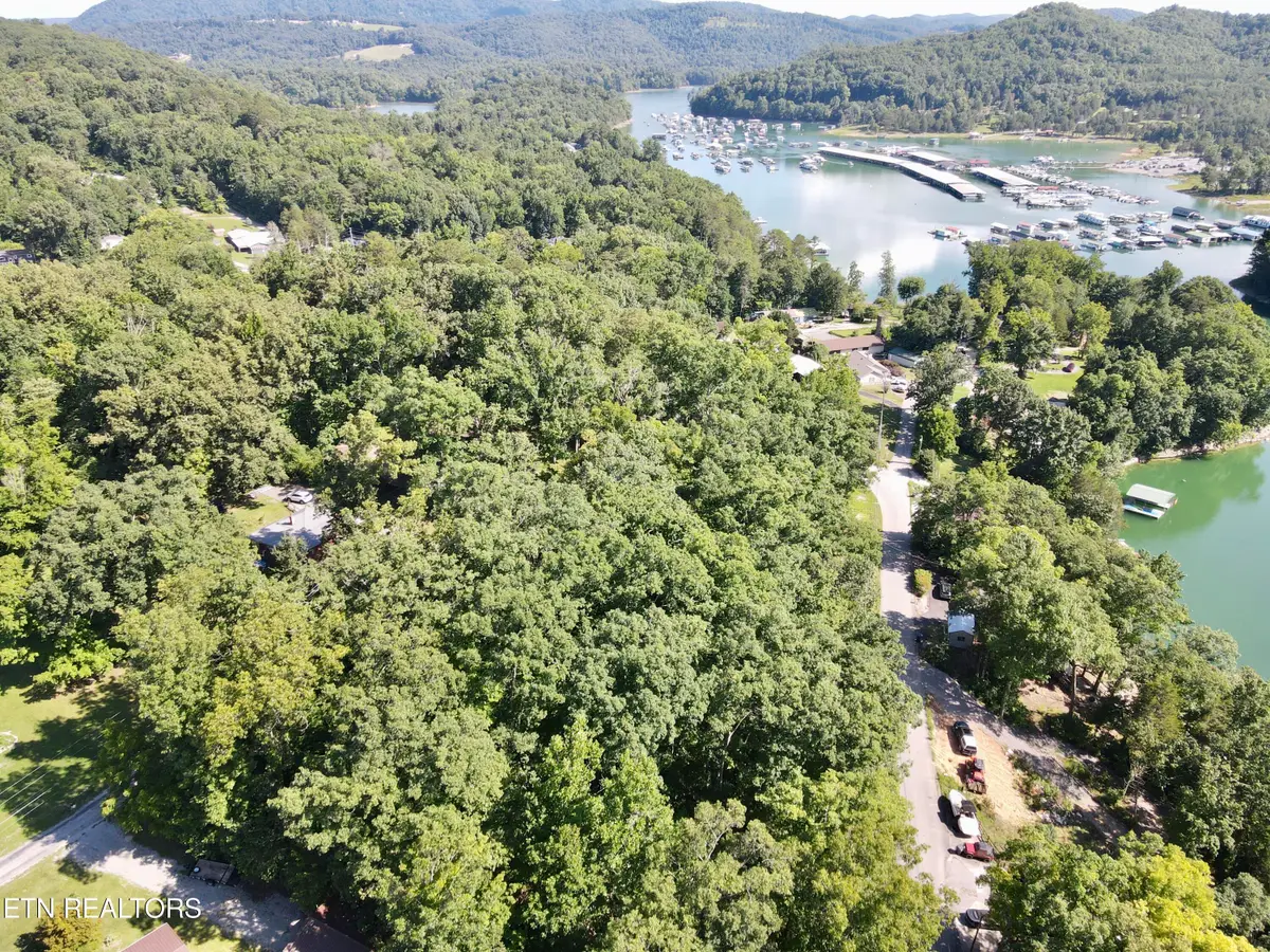 Cape Norris Rd #58, New Tazewell, TN 37825 - #1