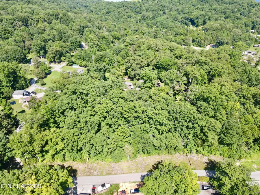 Cape Norris Rd #58, New Tazewell, TN 37825 - #2