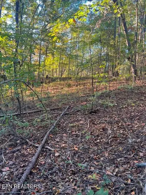 196 Woodstock Drive #Lot 176, Rutledge, TN 37861 - #1