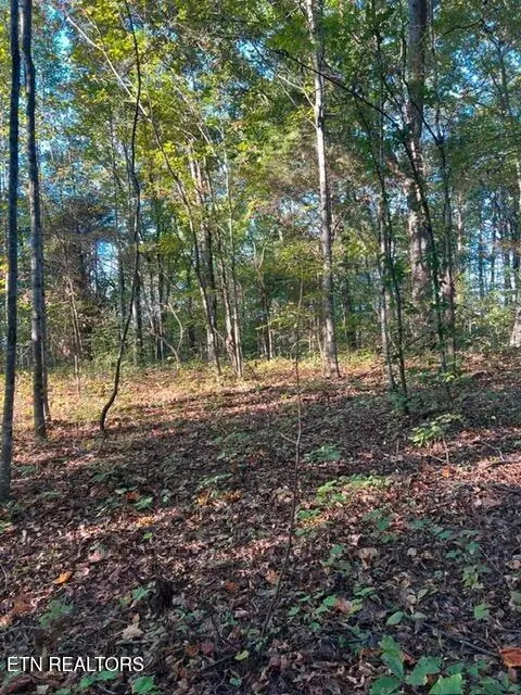 196 Woodstock Drive #Lot 176, Rutledge, TN 37861 - #2