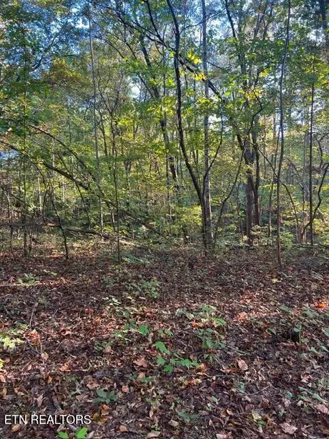 196 Woodstock Drive #Lot 176, Rutledge, TN 37861 - #3