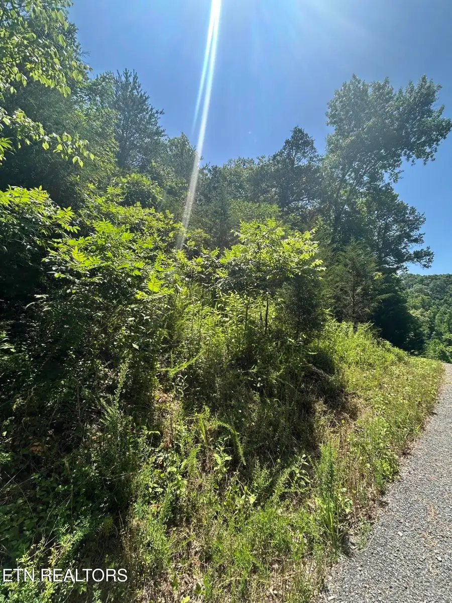 lot 713 Russell Brothers, Sharps Chapel, TN 37866 - #3