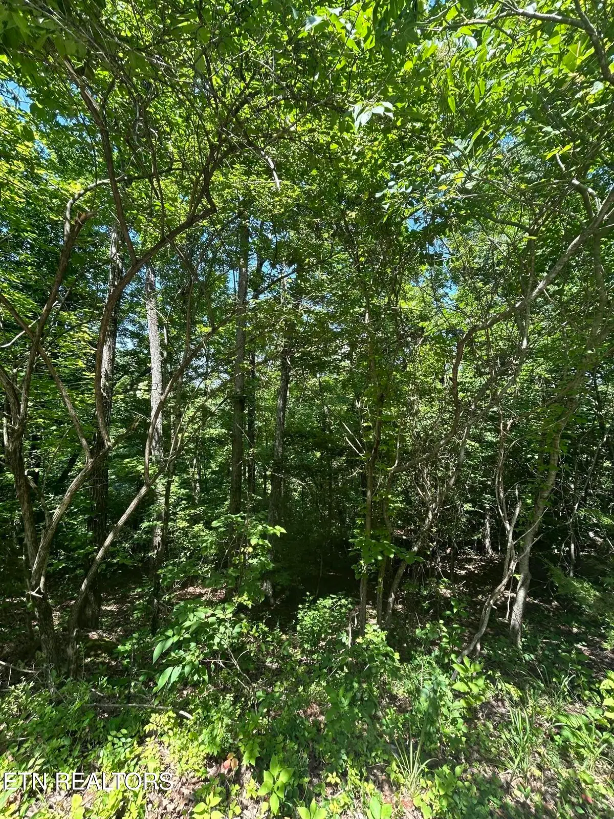 lot 714 Russell Brothers Rd, Sharps Chapel, TN 37866 - #1