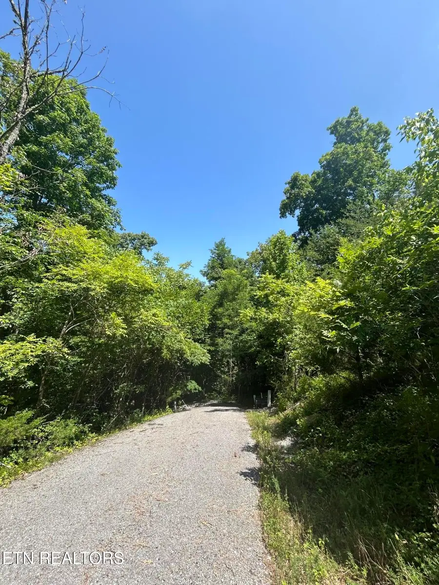lot 714 Russell Brothers Rd, Sharps Chapel, TN 37866 - #2