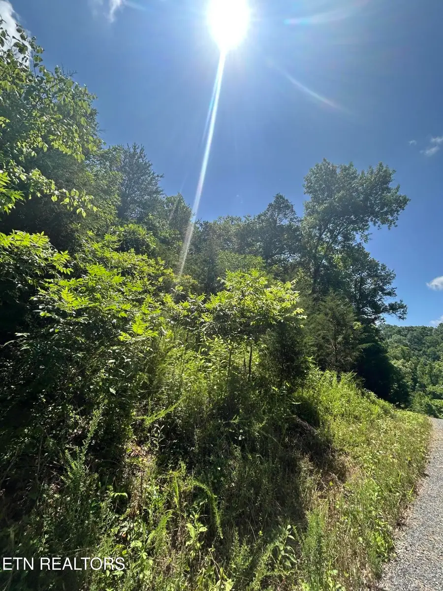 lot 714 Russell Brothers Rd, Sharps Chapel, TN 37866 - #3