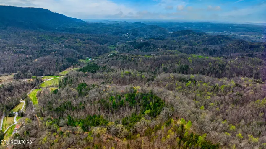 Old Chilhowee Tract 2 Rd, Seymour, TN 37865 - #3